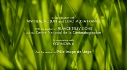 خیلی خیلی کوچک (2) (پشه بند)